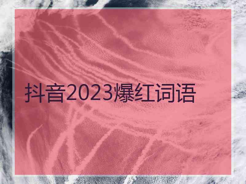 抖音2023爆红词语