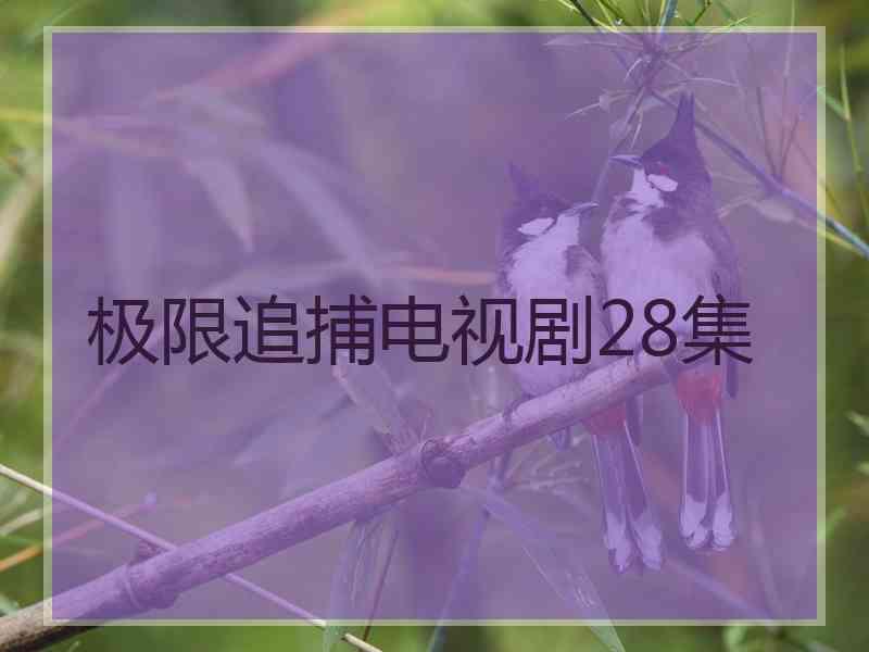 极限追捕电视剧28集