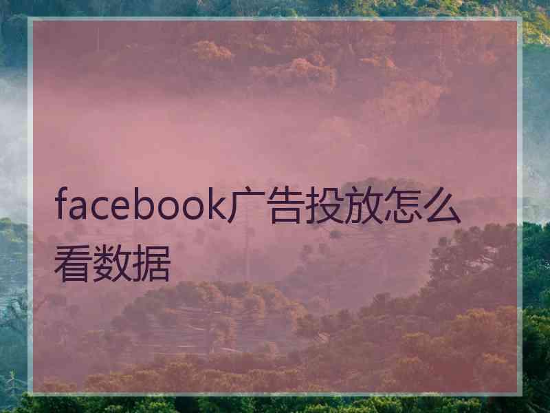 facebook广告投放怎么看数据