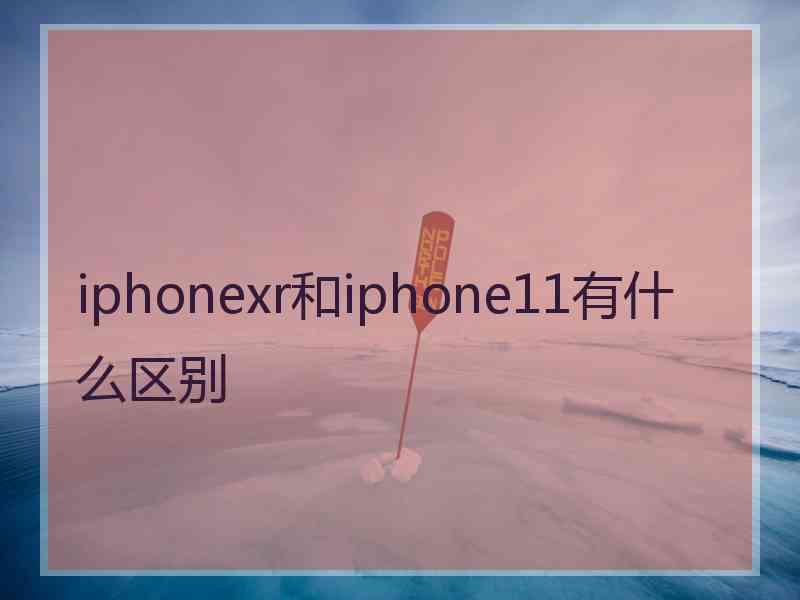 iphonexr和iphone11有什么区别