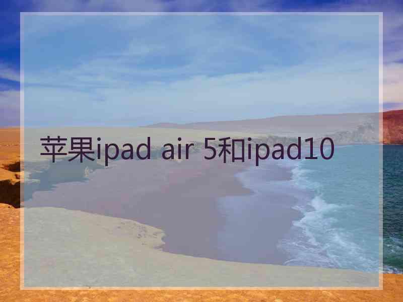 苹果ipad air 5和ipad10