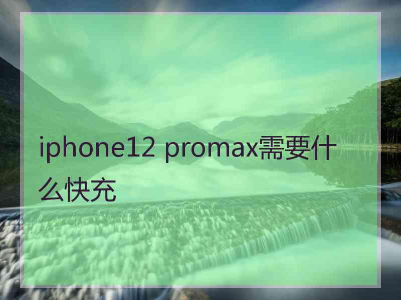 iphone12 promax需要什么快充