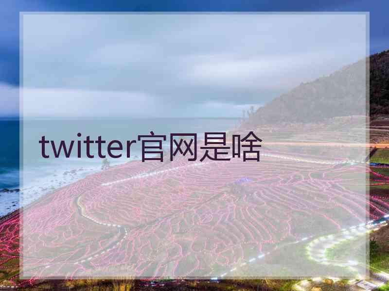 twitter官网是啥