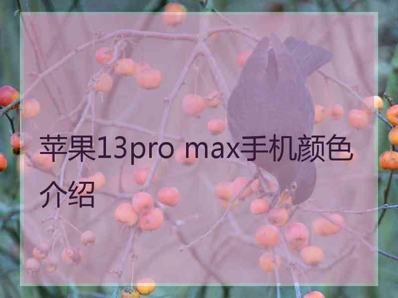 苹果13pro max手机颜色介绍