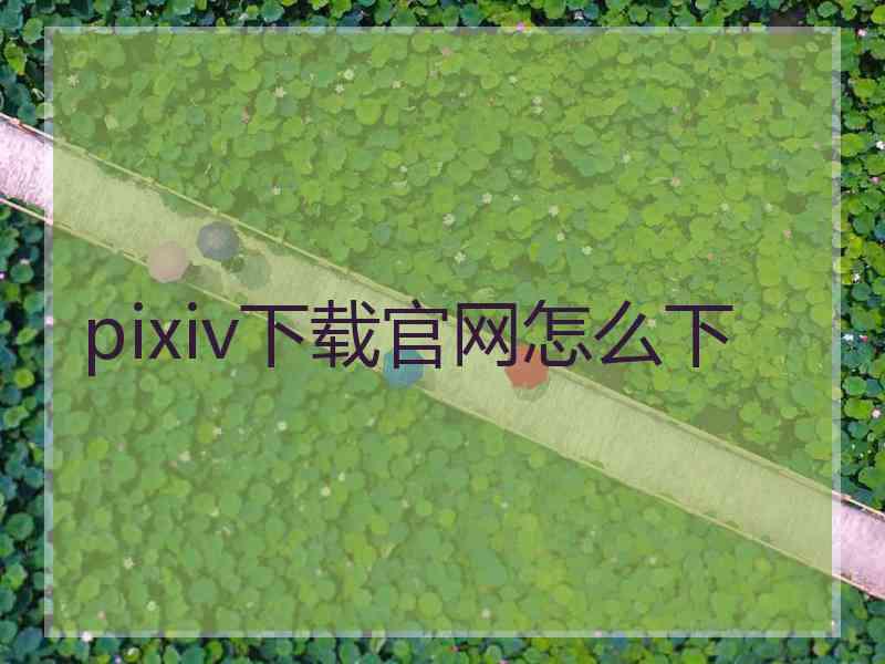 pixiv下载官网怎么下