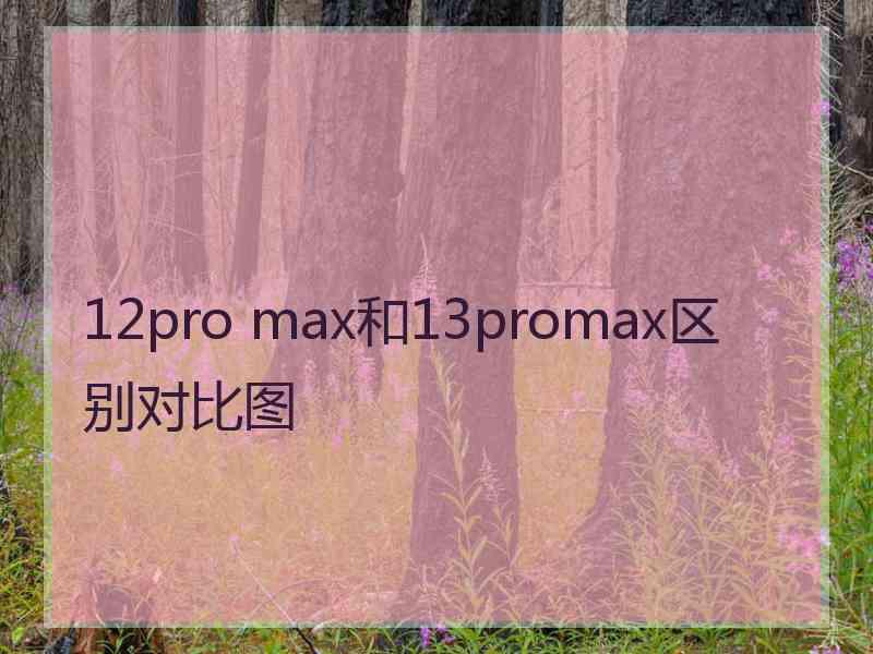 12pro max和13promax区别对比图