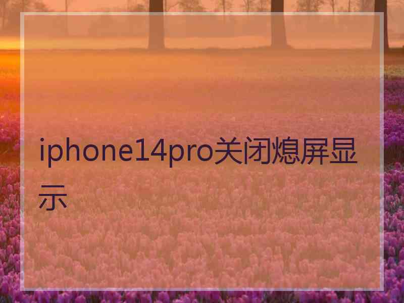 iphone14pro关闭熄屏显示