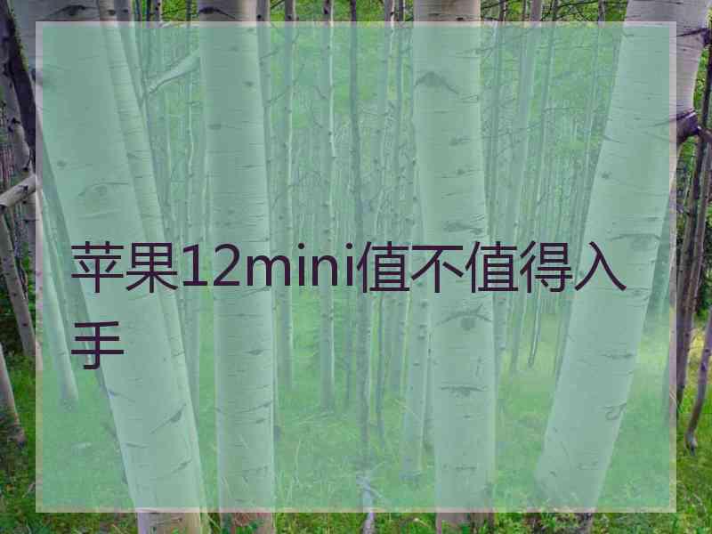 苹果12mini值不值得入手