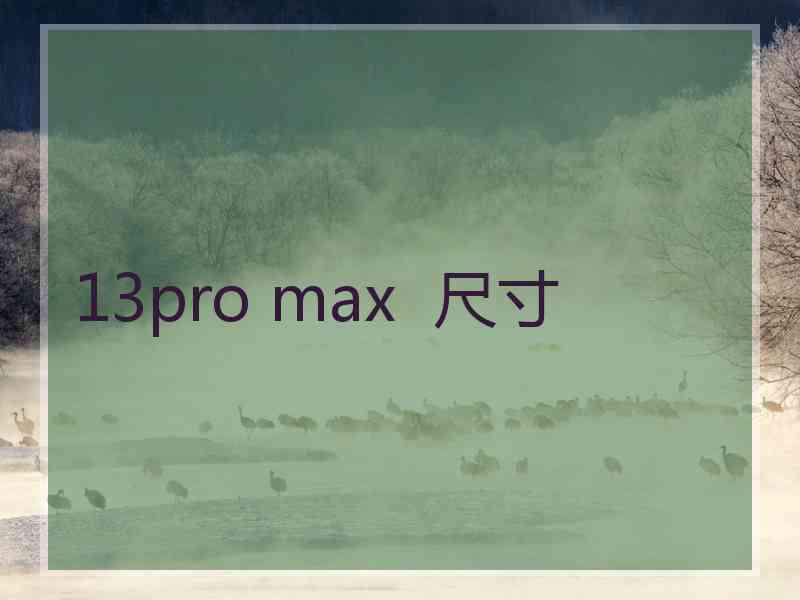 13pro max  尺寸