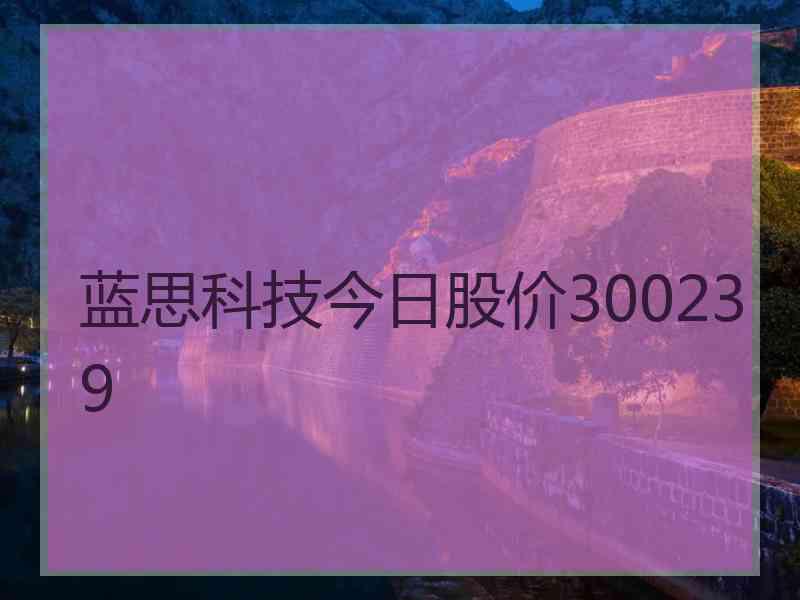 蓝思科技今日股价300239