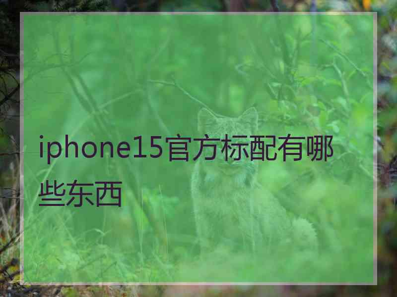 iphone15官方标配有哪些东西