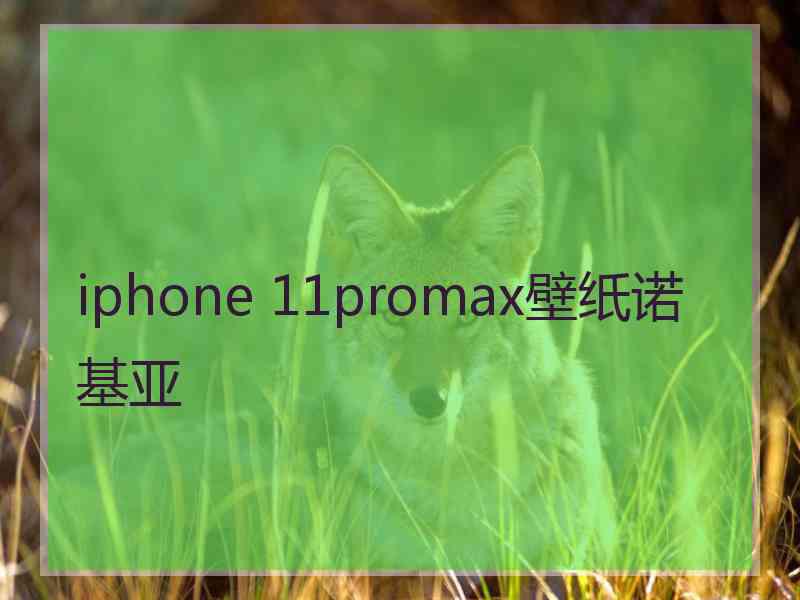 iphone 11promax壁纸诺基亚