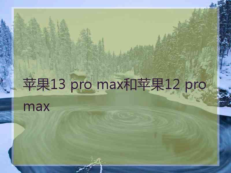 苹果13 pro max和苹果12 pro max