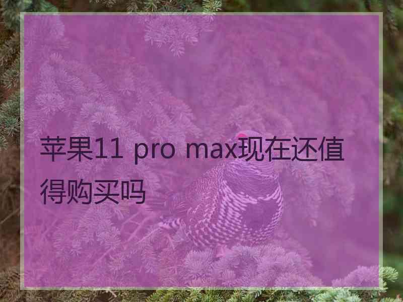 苹果11 pro max现在还值得购买吗