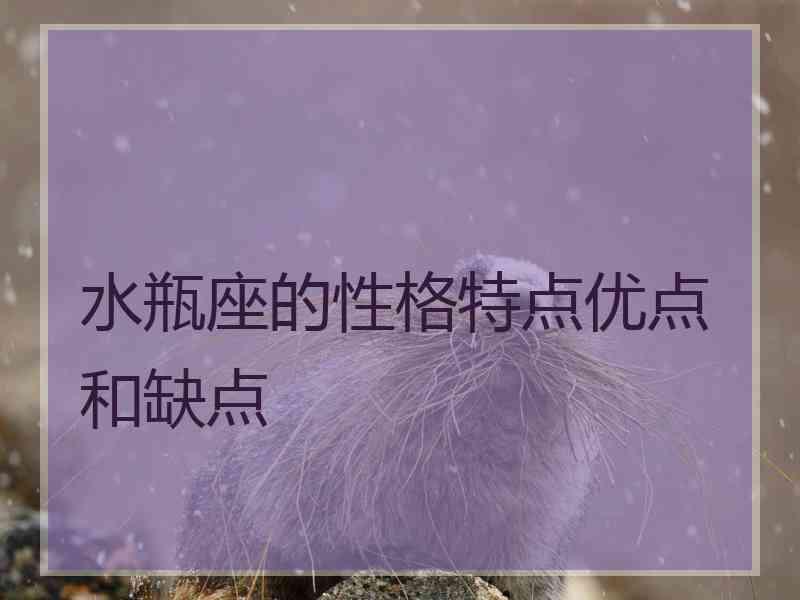 水瓶座的性格特点优点和缺点