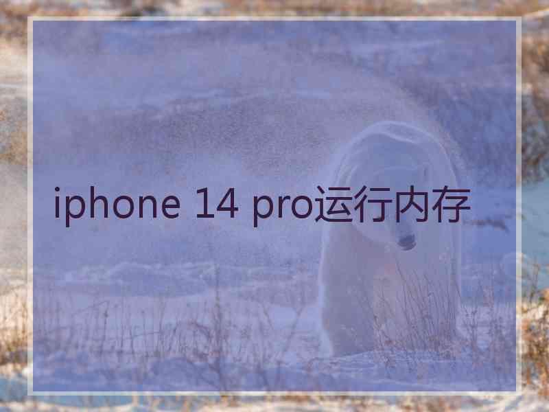 iphone 14 pro运行内存