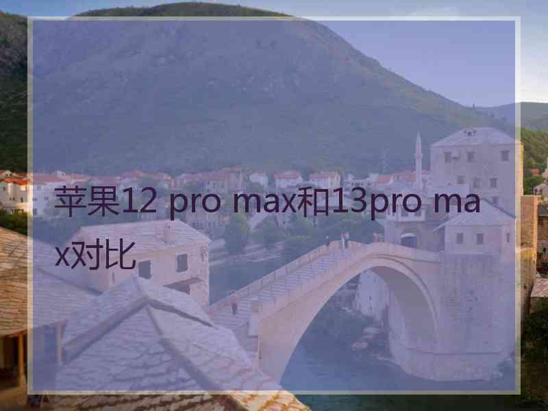 苹果12 pro max和13pro max对比