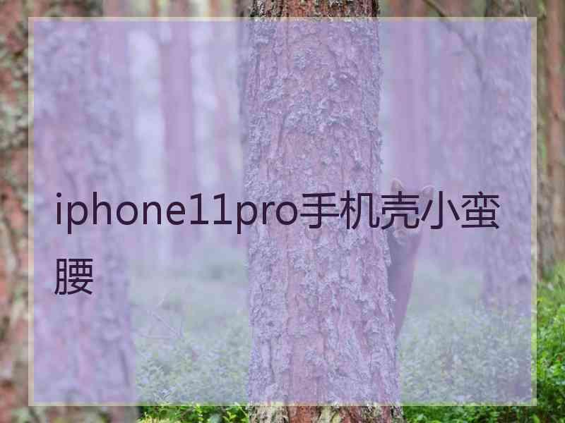 iphone11pro手机壳小蛮腰