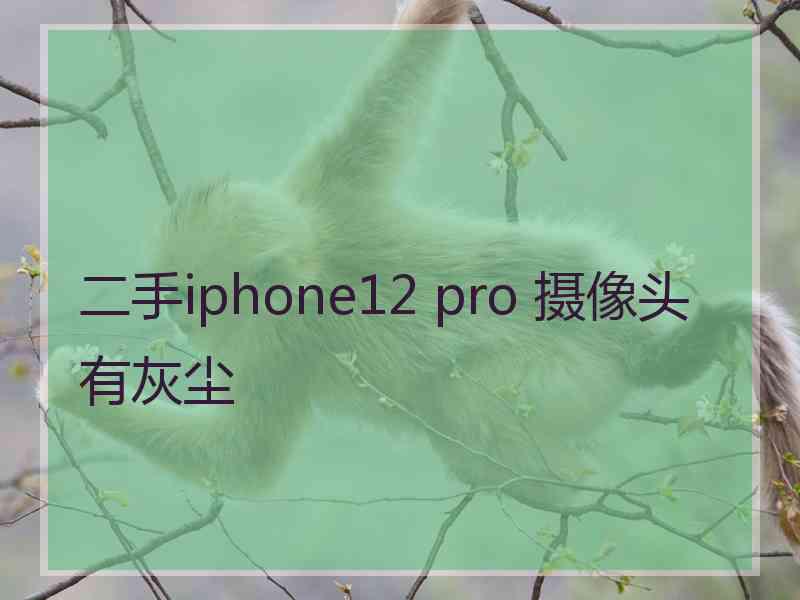 二手iphone12 pro 摄像头有灰尘