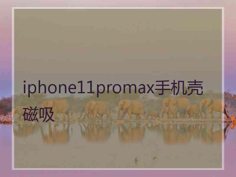 iphone11promax手机壳磁吸