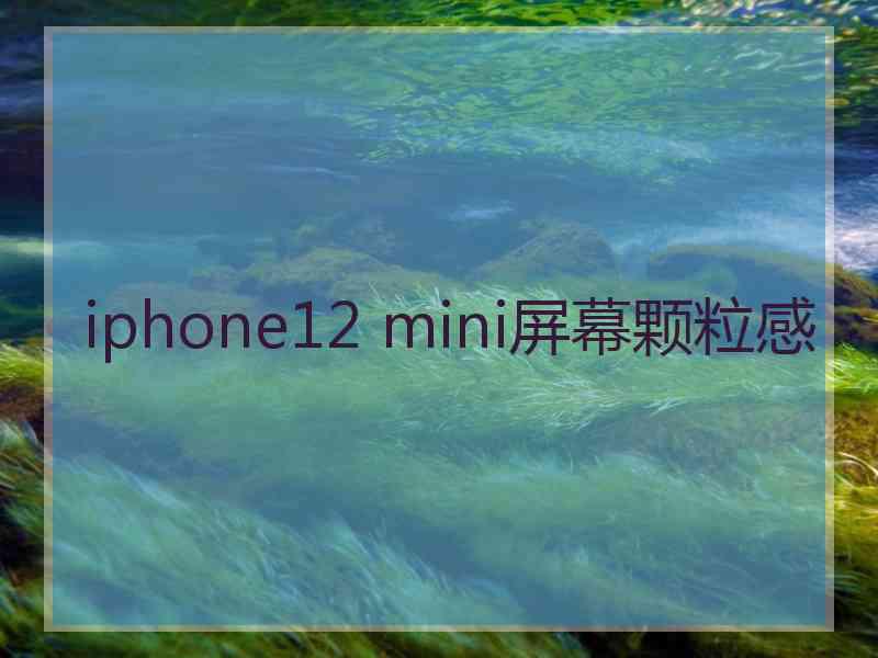 iphone12 mini屏幕颗粒感