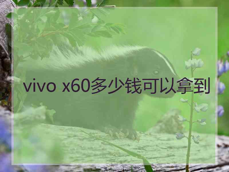 vivo x60多少钱可以拿到