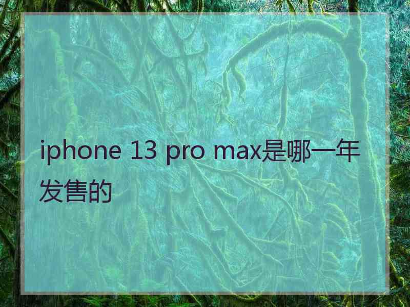 iphone 13 pro max是哪一年发售的