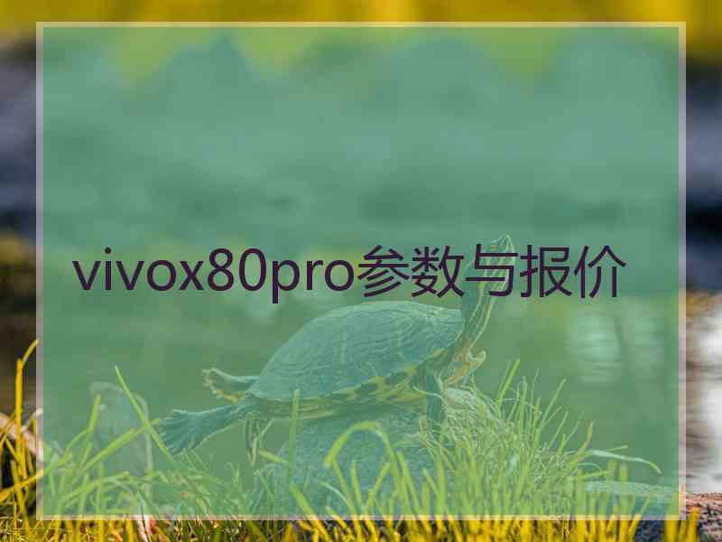 vivox80pro参数与报价