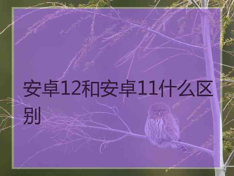 安卓12和安卓11什么区别