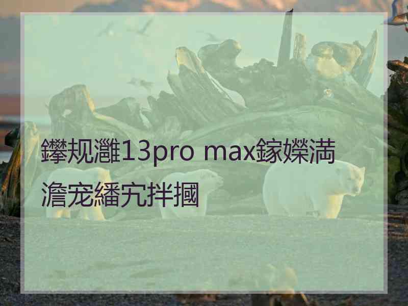 鑻规灉13pro max鎵嬫満澹宠繙宄拌摑