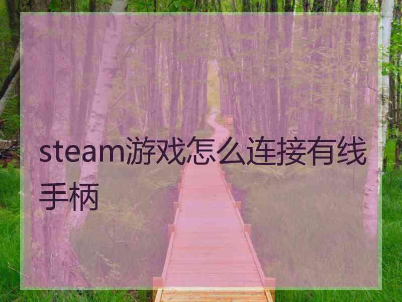 steam游戏怎么连接有线手柄