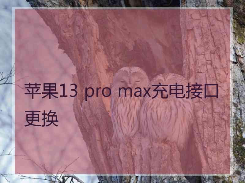 苹果13 pro max充电接口更换