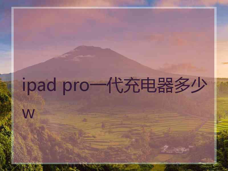 ipad pro一代充电器多少w