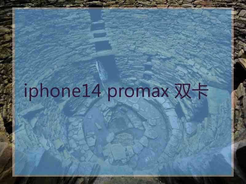 iphone14 promax 双卡