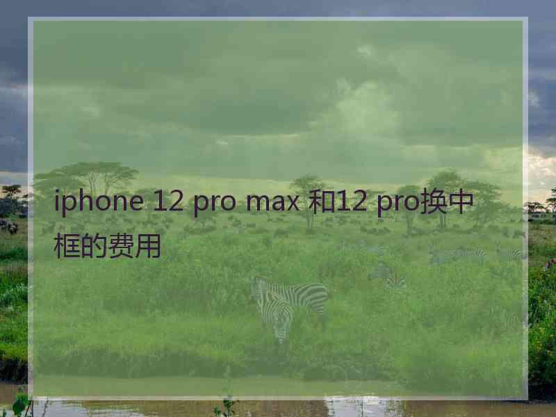 iphone 12 pro max 和12 pro换中框的费用