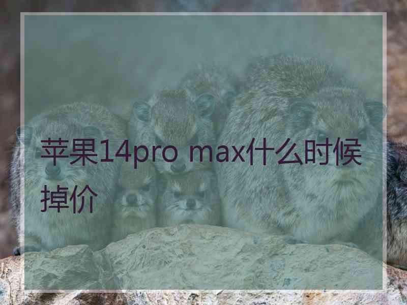 苹果14pro max什么时候掉价