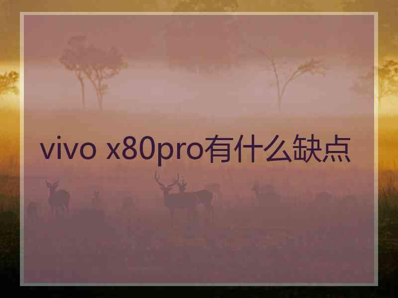 vivo x80pro有什么缺点