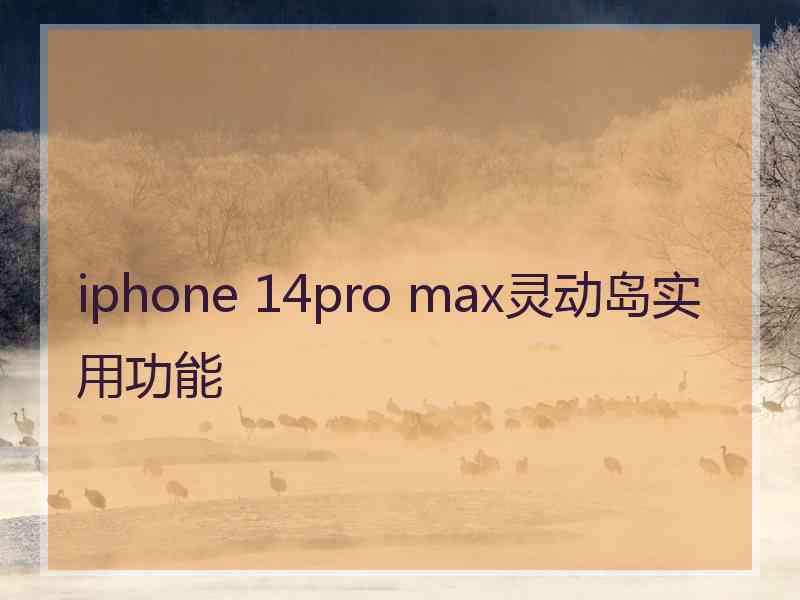 iphone 14pro max灵动岛实用功能