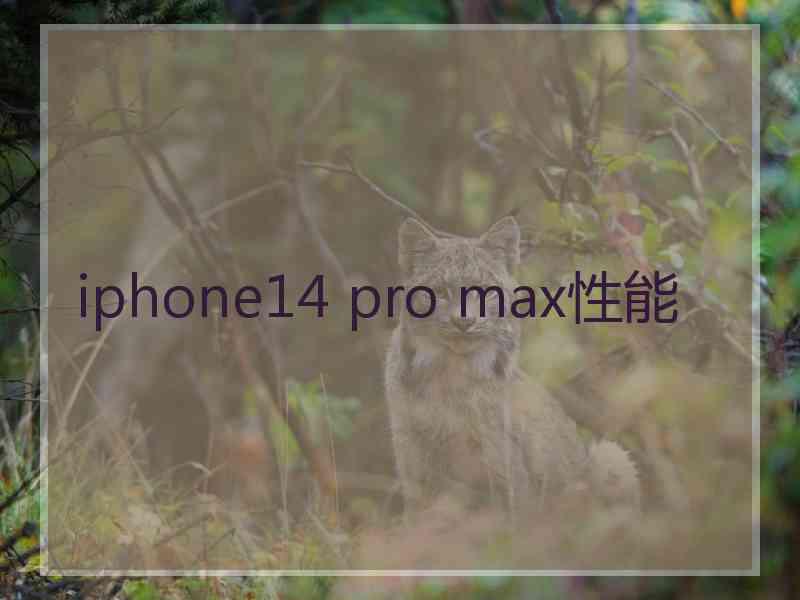 iphone14 pro max性能