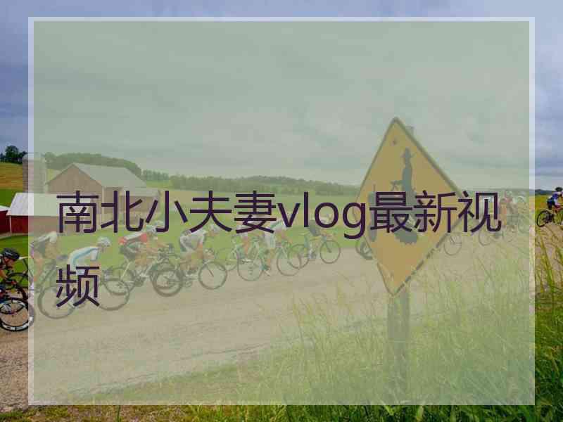 南北小夫妻vlog最新视频