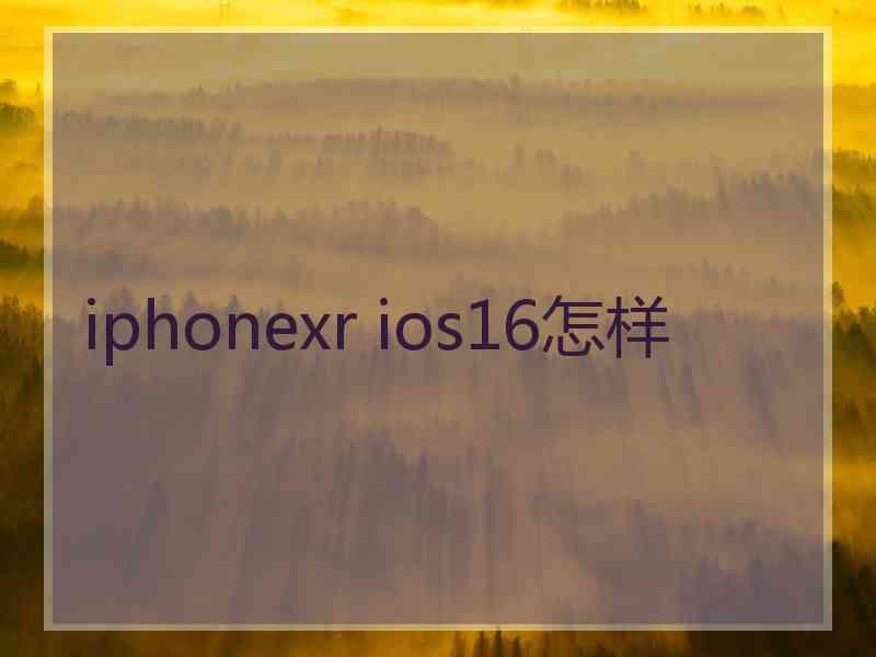 iphonexr ios16怎样