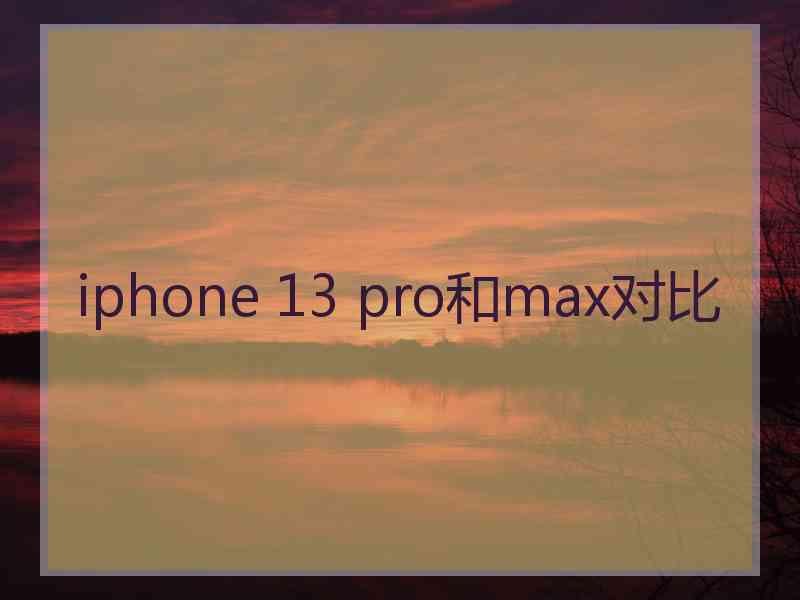 iphone 13 pro和max对比