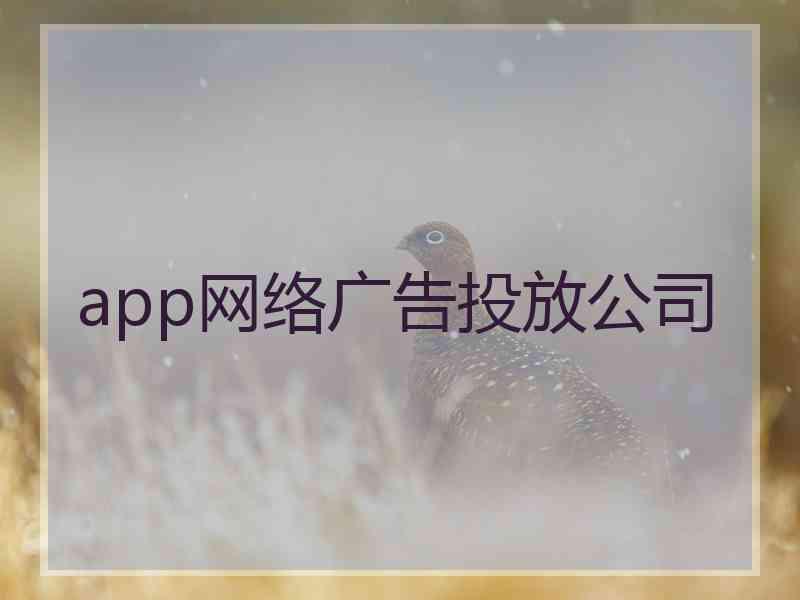 app网络广告投放公司