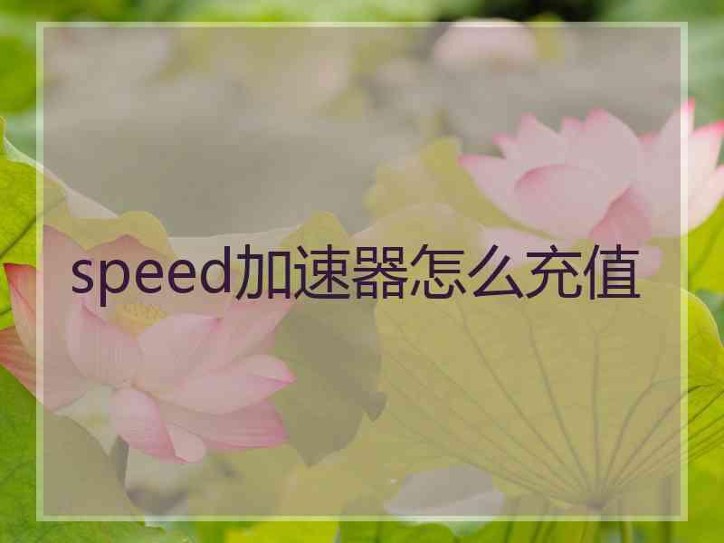 speed加速器怎么充值