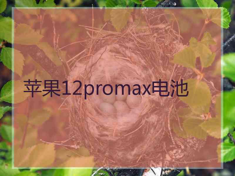 苹果12promax电池