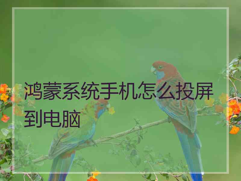 鸿蒙系统手机怎么投屏到电脑