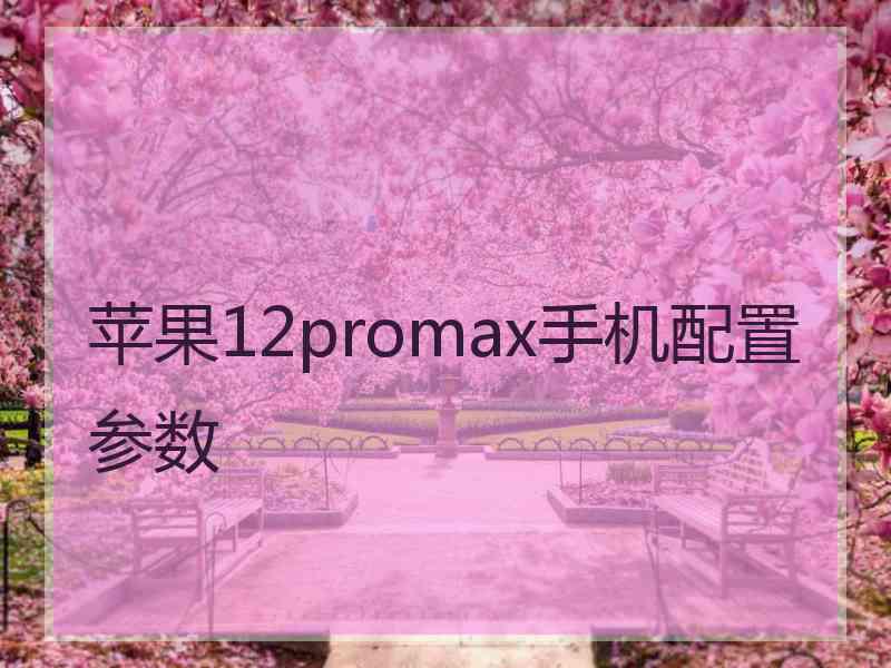 苹果12promax手机配置参数