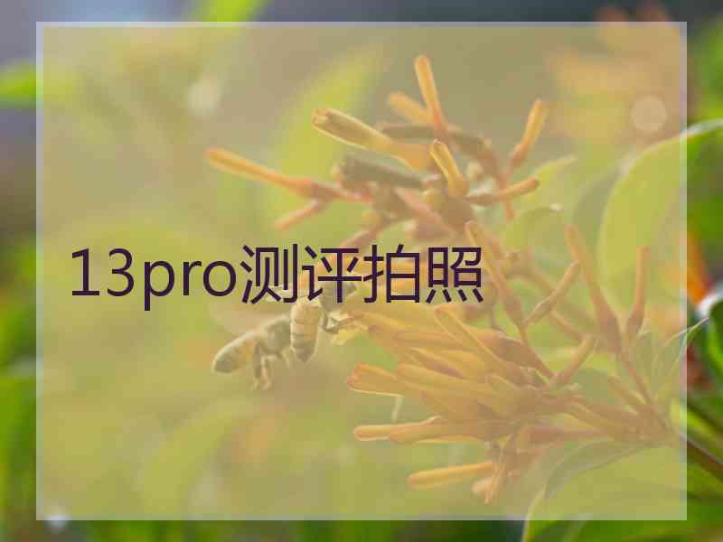 13pro测评拍照