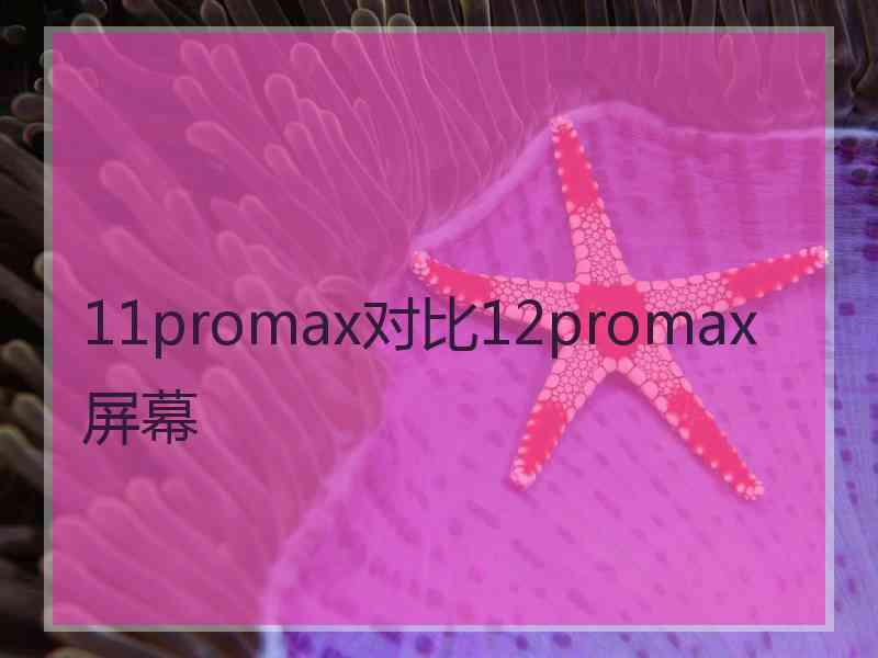 11promax对比12promax屏幕