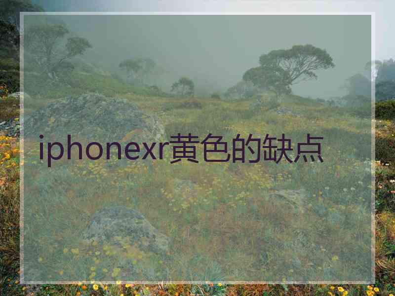 iphonexr黄色的缺点